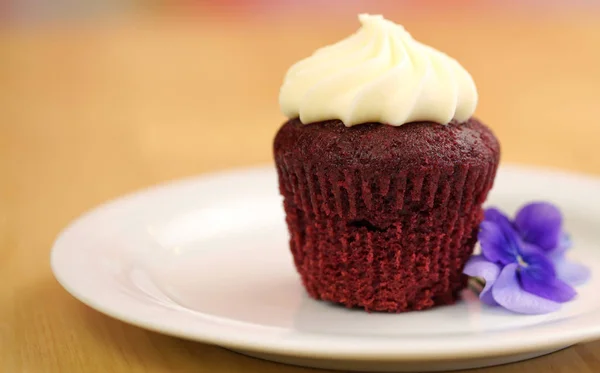 Rode fluwelen cupcake, close-up. — Stockfoto