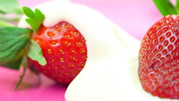 Makro zbliżenie świeży owoc truskawka — Zdjęcie stockowe