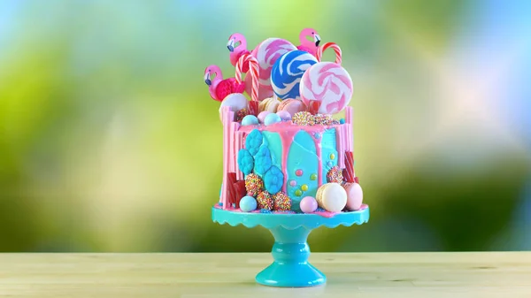 On trend candyland fantasy drip novelty birthday cake — Stock Photo, Image