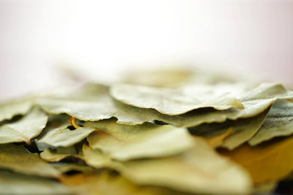 Bay Leaves cooking herbs and spices macro closeup, selective focus. — Stock Photo, Image