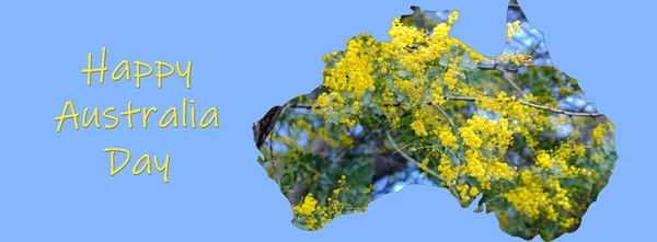 Mapa Austrália Com Árvore Wattle Dourado Florescente Tamanho Para Caber — Fotografia de Stock