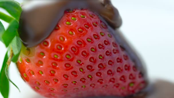Μακροεντολή Closeup Των Νωπών Φράουλα Φρούτα Που Καλύπτονται Σάλτσα Σοκολάτας — Αρχείο Βίντεο