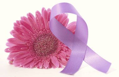 Bayan gün pembe gerbera mor kurdele ve uygulamalı vintage yıkama filtresi.