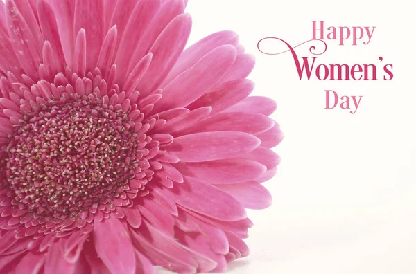 Gerbera rosa do Dia das Mulheres com fita roxa e filtro de lavagem vintage aplicado . — Fotografia de Stock