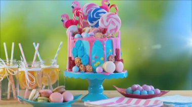 Eğilim candyland fantezi damla yenilik doğum günü pastası üzerinde Bahçe partisi ayarlama.