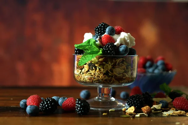 Grain free oat free paleo diet granola breakfast. — Stock Photo, Image