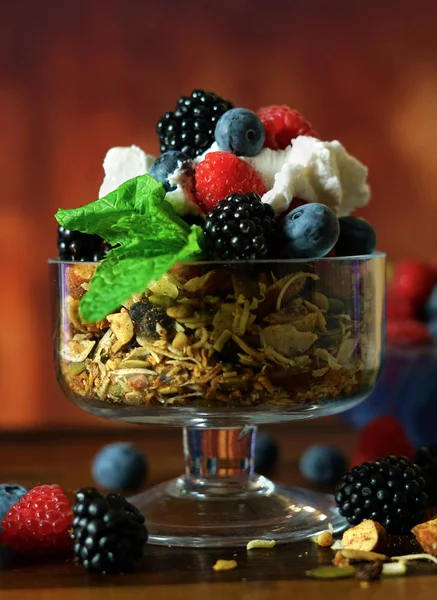 Grano libre de avena paleo libre dieta granola desayuno . — Foto de Stock