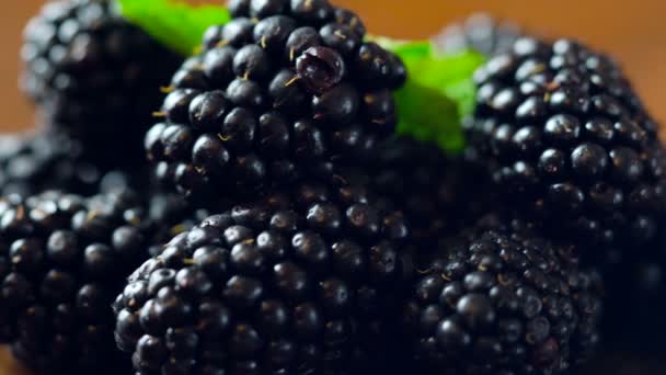 Macro closeup of rotating blackberries summer fruit — Stock Video