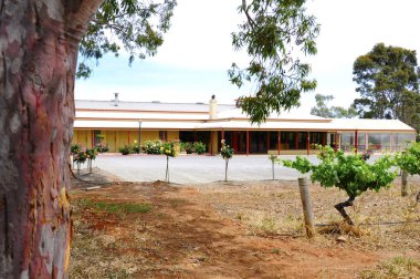 Parri Emlak şaraplar Mclaren Vale, Avustralya.