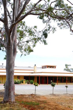 Parri Emlak şaraplar Mclaren Vale, Avustralya.