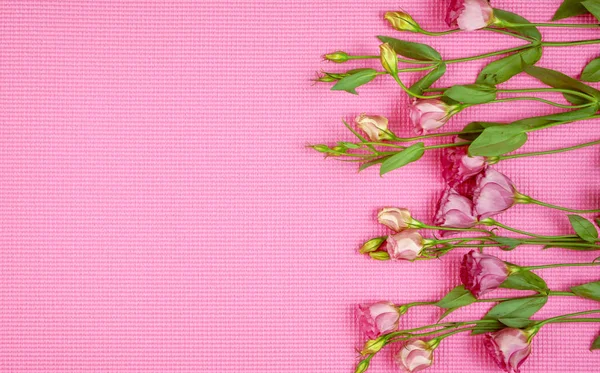 Blumenhintergrund für feminine Feiertage, Geburtstage oder Muttertagsfeiern. — Stockfoto