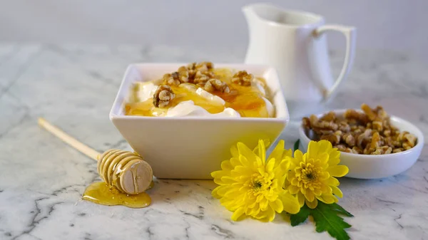 Griekse yoghurt geserveerd met natuurlijke rauwe honing en walnoten — Stockfoto