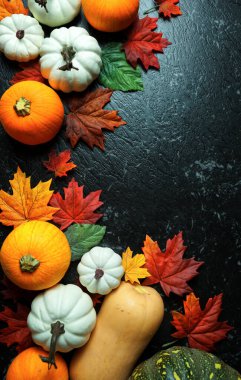 Sonbahar hasadı, siyah mermer tezgahta çeşitli kabak çeşitleri..