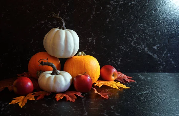 Raccolta autunnale, assortimento diversificato di zucche su un bancone in marmo nero . — Foto Stock