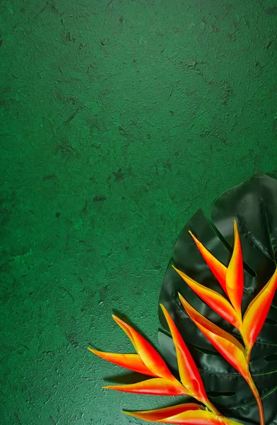 Fundo tropical em fundo texturizado verde escuro com espaço de cópia negativo . — Fotografia de Stock