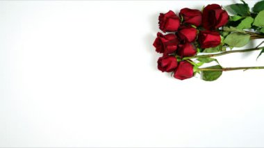 Yaz tatili yaratıcı kompozisyon düz yatıyordu stop motion animasyonu.