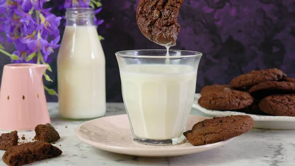 Dunking one double chocolate chip homemade cookie in glass of milk. — Stock Photo, Image