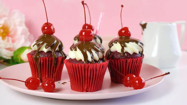 Bolinhos de veludo vermelho com molho de chocolate e cerejas . — Fotografia de Stock