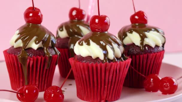 Κόκκινο βελούδινο cupcakes με σάλτσα σοκολάτας και κεράσια. — Αρχείο Βίντεο