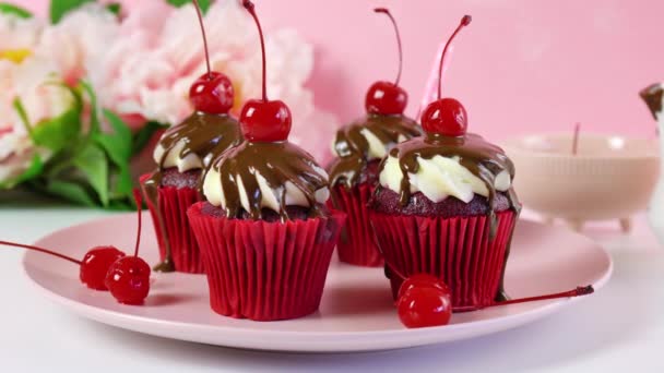 Bolinhos de veludo vermelho com molho de chocolate e cerejas . — Vídeo de Stock