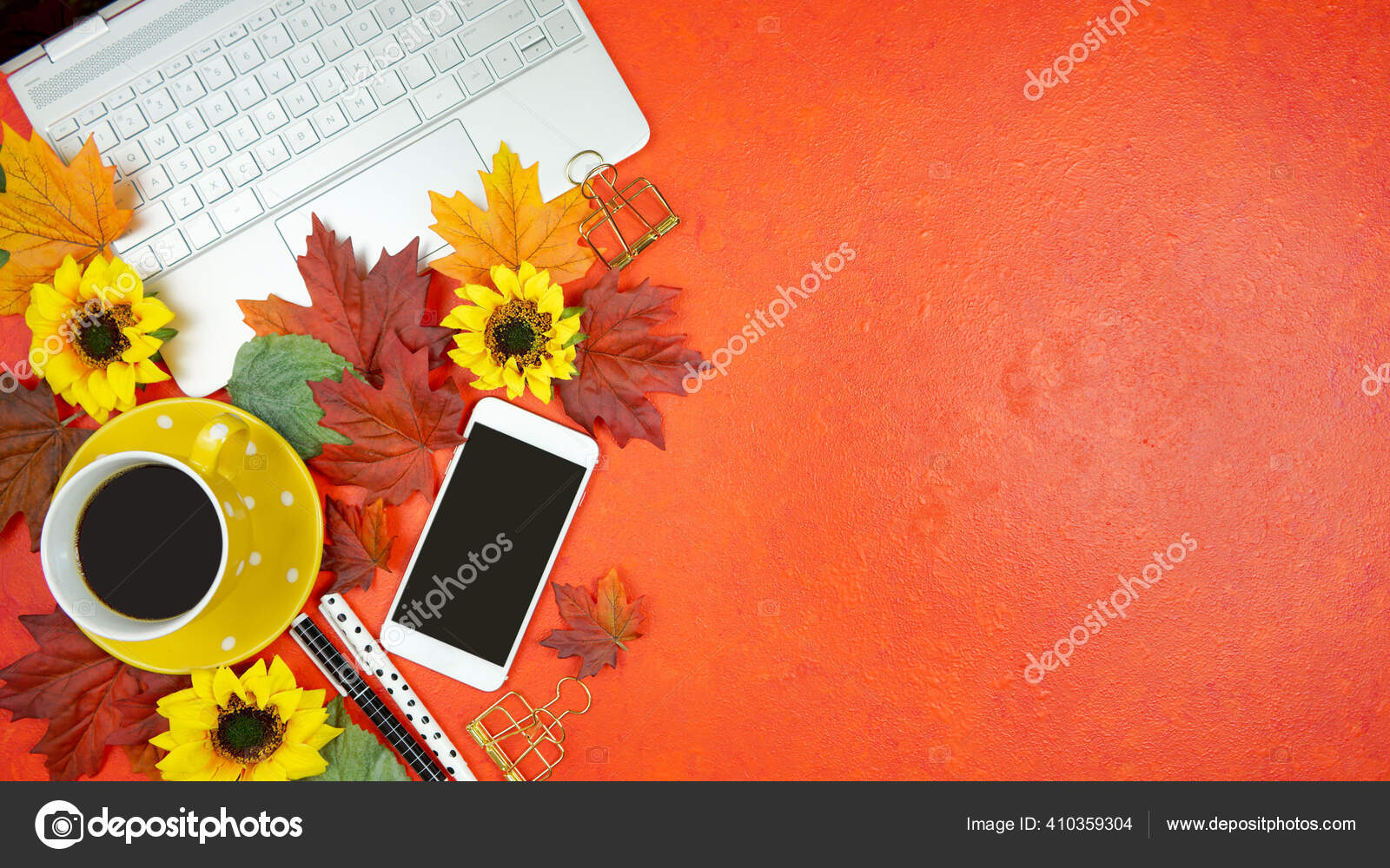 Fondos de 29 Girasoles, Fotos y Imágenes De Descarga Gratis | Pngtree, image size:1600x1000