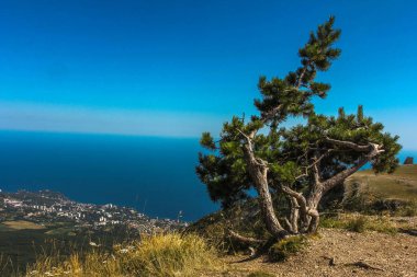 Ai-Petri Dağı, Kırım Cumhuriyeti