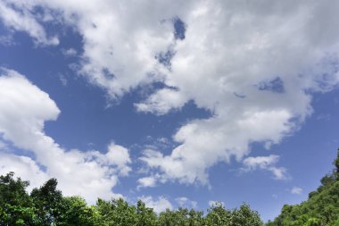 Ağaç yeşil manzara mavi gökyüzü ve bulut arka plan ile.