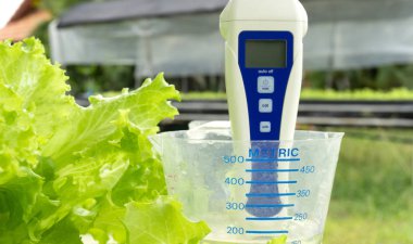 Dijital ph metre test denetleyicileri Kupası ölçü su, doğal arka plan. Hydroponic bahçe çiftliği, metniniz için kopya alanı. 
