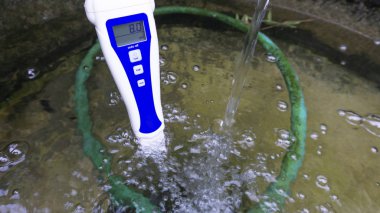 Dijital ph metre cihazı Hydroponics denetleyicileri ph kalemler, ph testleri, dijital toprak ve ph su sera, sensörler sebze yakın çekim.