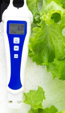 Dijital ph metre tester Hydroponics kereviz yeşil sebze sera üzerinde beyaz köpük, yakın çekim.