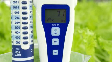 Dijital ph metre tester Hydroponics kereviz yeşil sebze sera üzerinde beyaz köpük, yakın çekim.