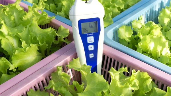 Digital Meter Tester Salad Vegetables Greenhouse Hydroponics Garden Close — Stock Photo, Image