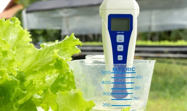Digital Meter Tester Controllers Cup Measure Water Natural Background Hydroponic — Stock Photo, Image