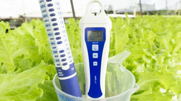 Nutrient Meter and pH meter in Metric Cup on Green salad vegetables background. hydroponic garden farm. Close up