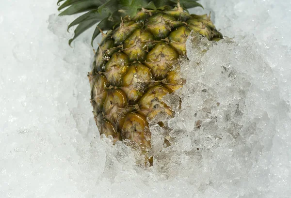 Pineapple on ice background ,wallpaper food concept ,Close up.