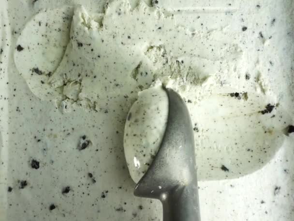 Biscotti Gelato Crema Scavato Fuori Dal Contenitore Con Cucchiaio Concetto — Video Stock