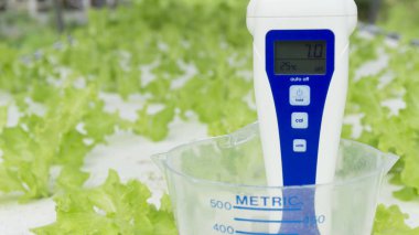 Nutrient Meter and pH meter in Metric Cup on Green salad vegetables background. hydroponic garden farm. Close up. clipart
