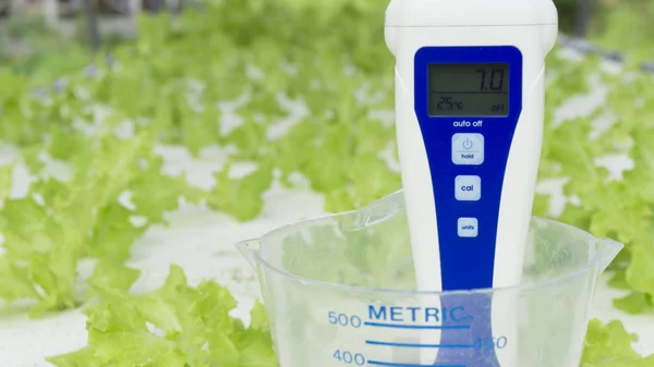 Nutrient Meter Meter Metric Cup Green Salad Vegetables Background Hydroponic — Stock Photo, Image