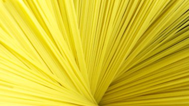 Spagetti Pişmiş hattı, yemek için Malzemeler, Gıda arka plan kavramı.