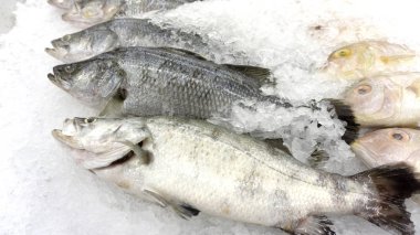 Balık pazarı ve mağaza, Ürün Teşhir Raf buz üzerinde Balık Çiğ.