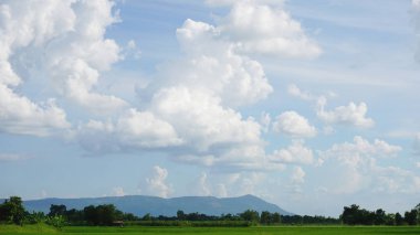 Ağaç yeşil manzara mavi gökyüzü ve bulut arka plan ile.     