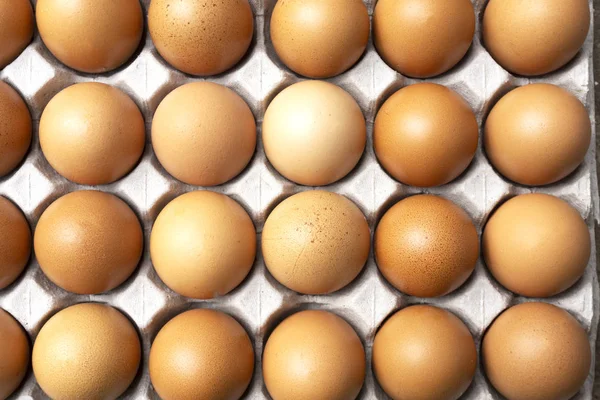 çiftlikten pazara kağıt tepside yumurta.