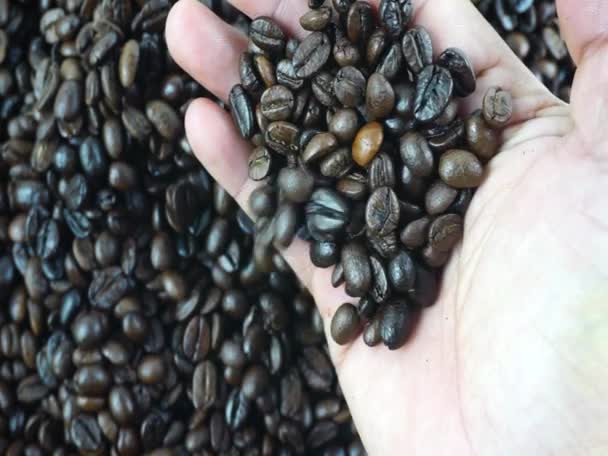 Feche Mãos Toque Grãos Café Visão Superior Conceito Alimentar — Vídeo de Stock