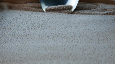 Dondurmayı kaşıkla konteynırdan yavaş çekimde çıkartıyor. Gıda konsepti, tasarım için boşluk.