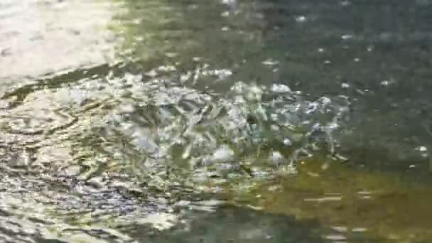 Langzame Beweging Bewegend Water Fontein Het Zwembad Spetteren Bellen Rijzen — Stockvideo