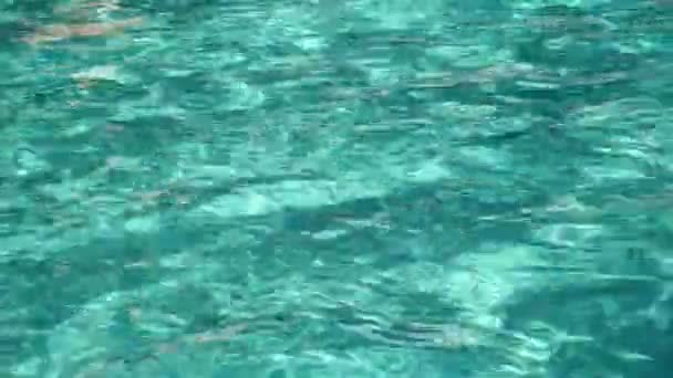 スイミングプール上の光反射水の表面 — ストック動画