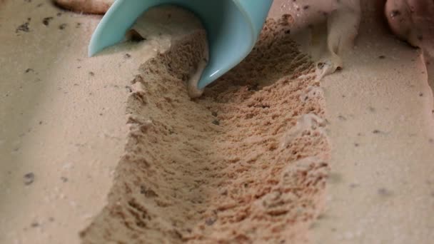 Slow Motion Closeup Scooping Ice Cream Mocha Chip Out Container — Αρχείο Βίντεο