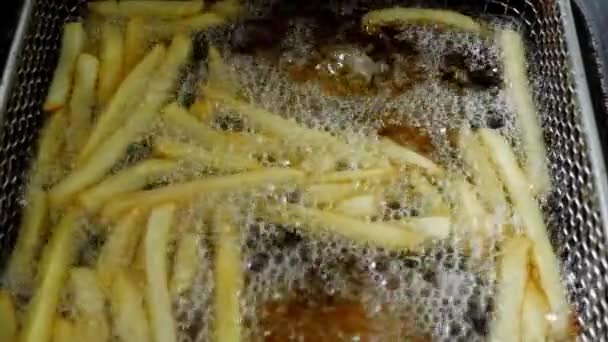 在法国的深处 在快餐店里烹调薯条 烹调土豆 脆薯条 垃圾食品概念 — 图库视频影像