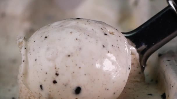 Kurabiye Dondurmayı Kaşıkla Konteynırdan Çıkarmak — Stok video