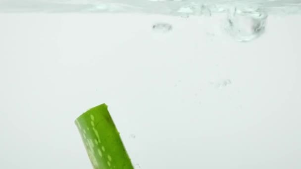 Aloe Vera Splsh Agua Con Burbujas Frescas Sobre Fondo Blanco — Vídeos de Stock